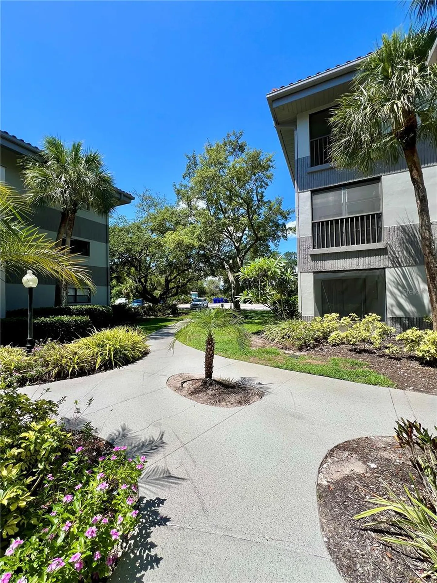 2650 Countryside Boulevard Clearwater FL 33761
