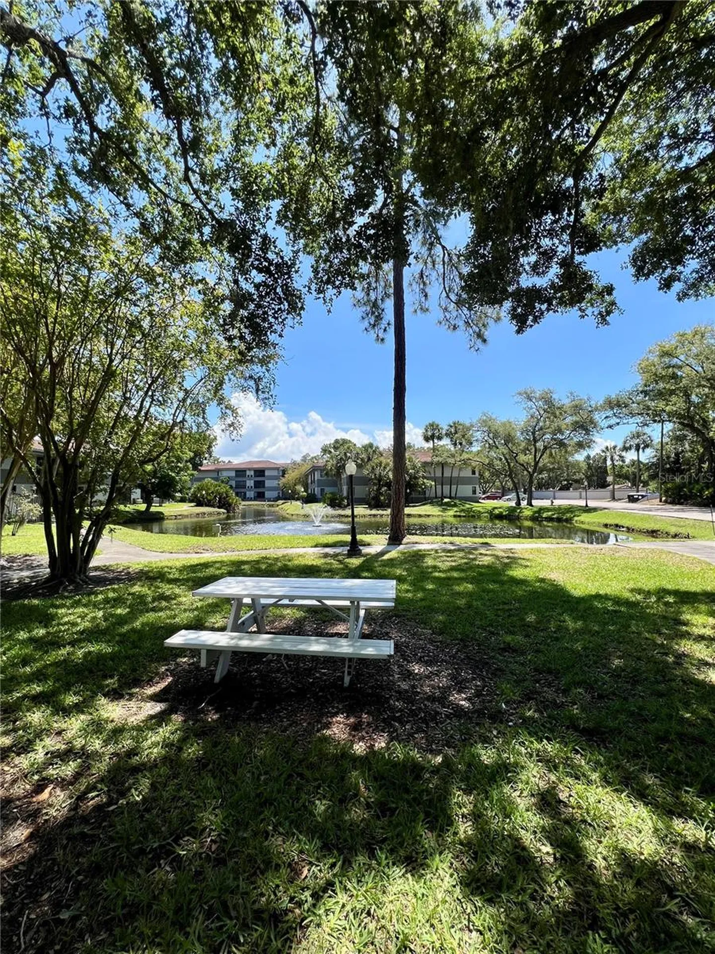 2650 Countryside Boulevard Clearwater FL 33761