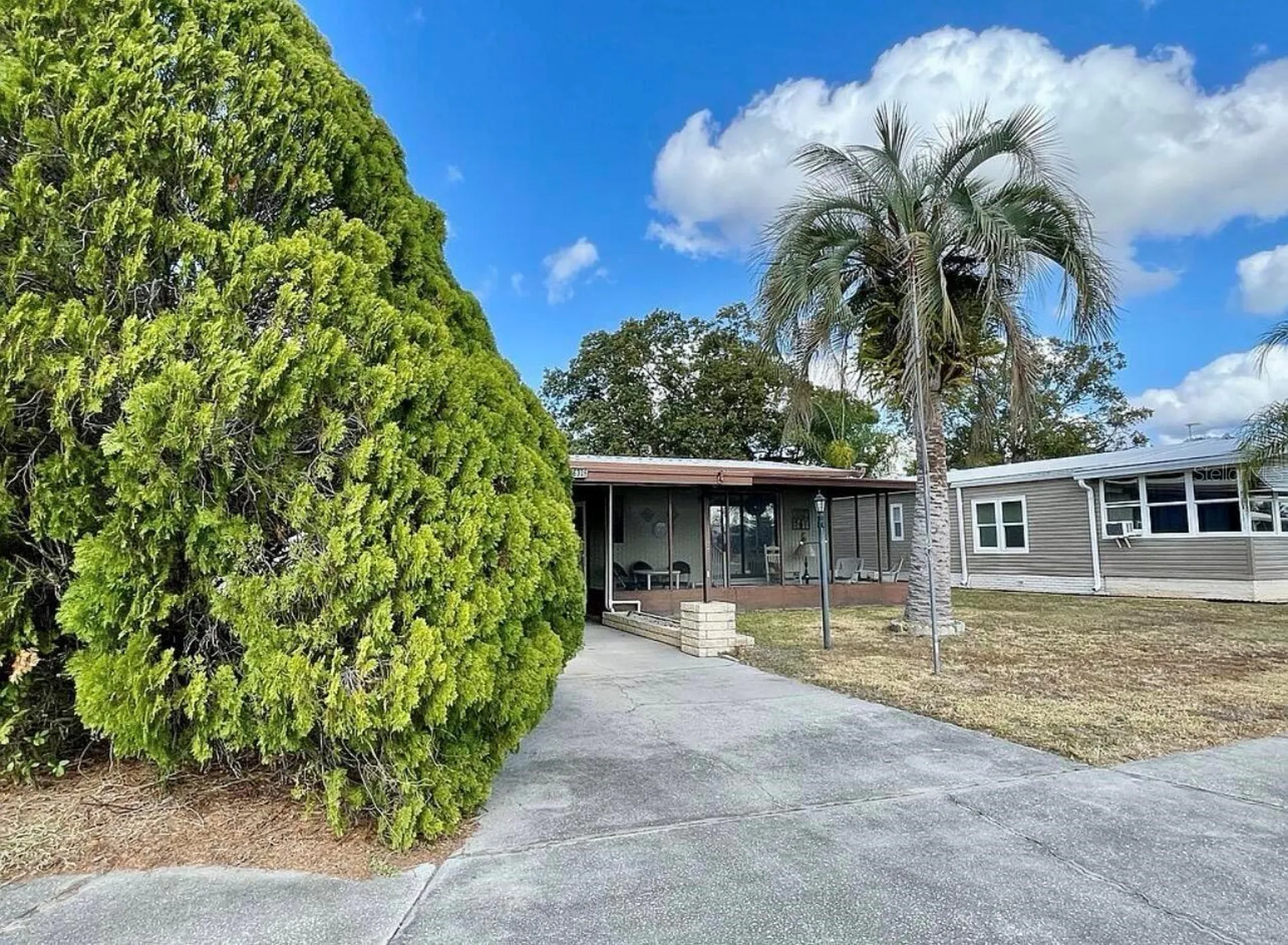 36335 Bonney Drive Zephyrhills FL 33541