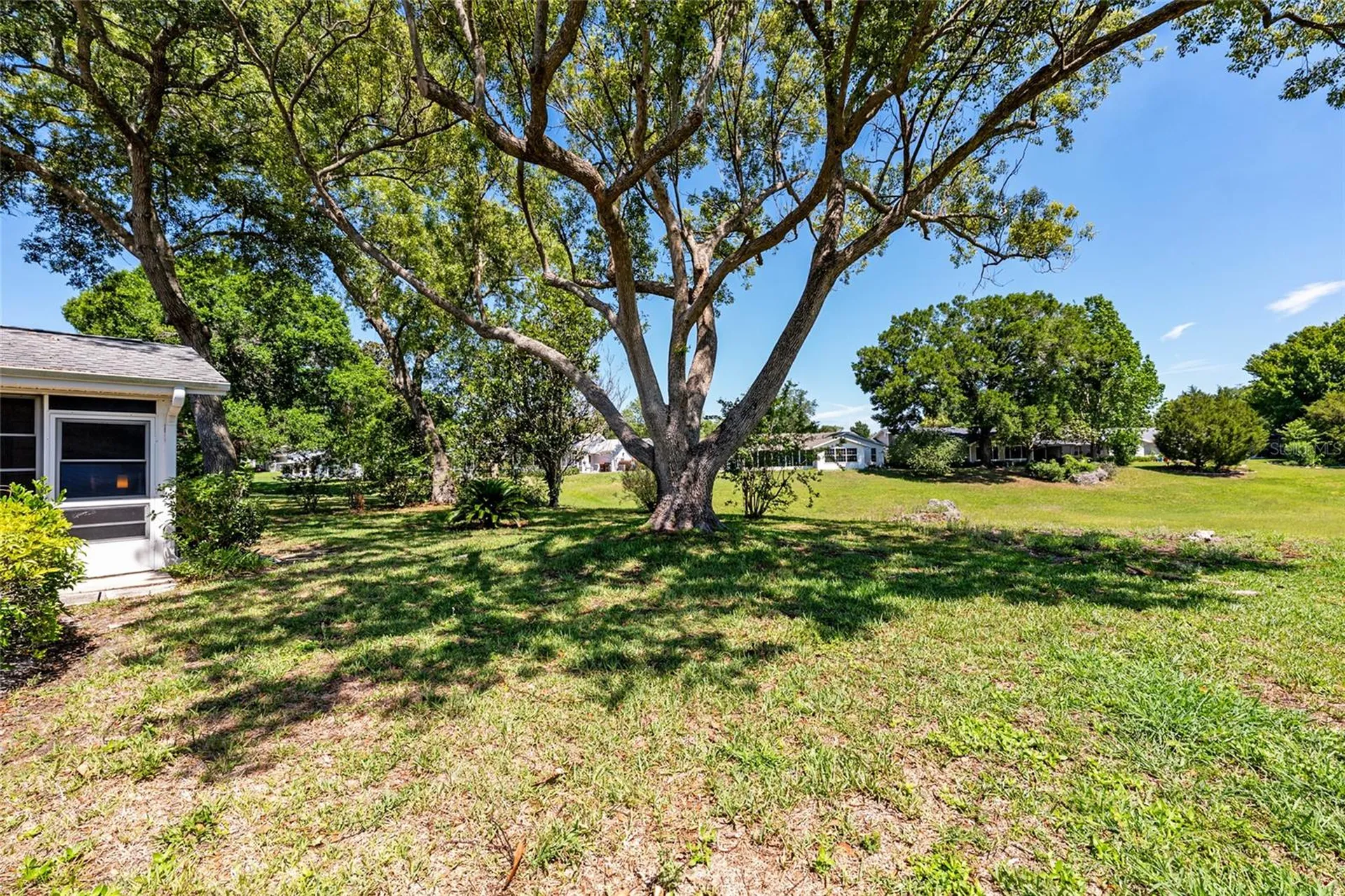 8038 SW 108th Loop Ocala FL 34481