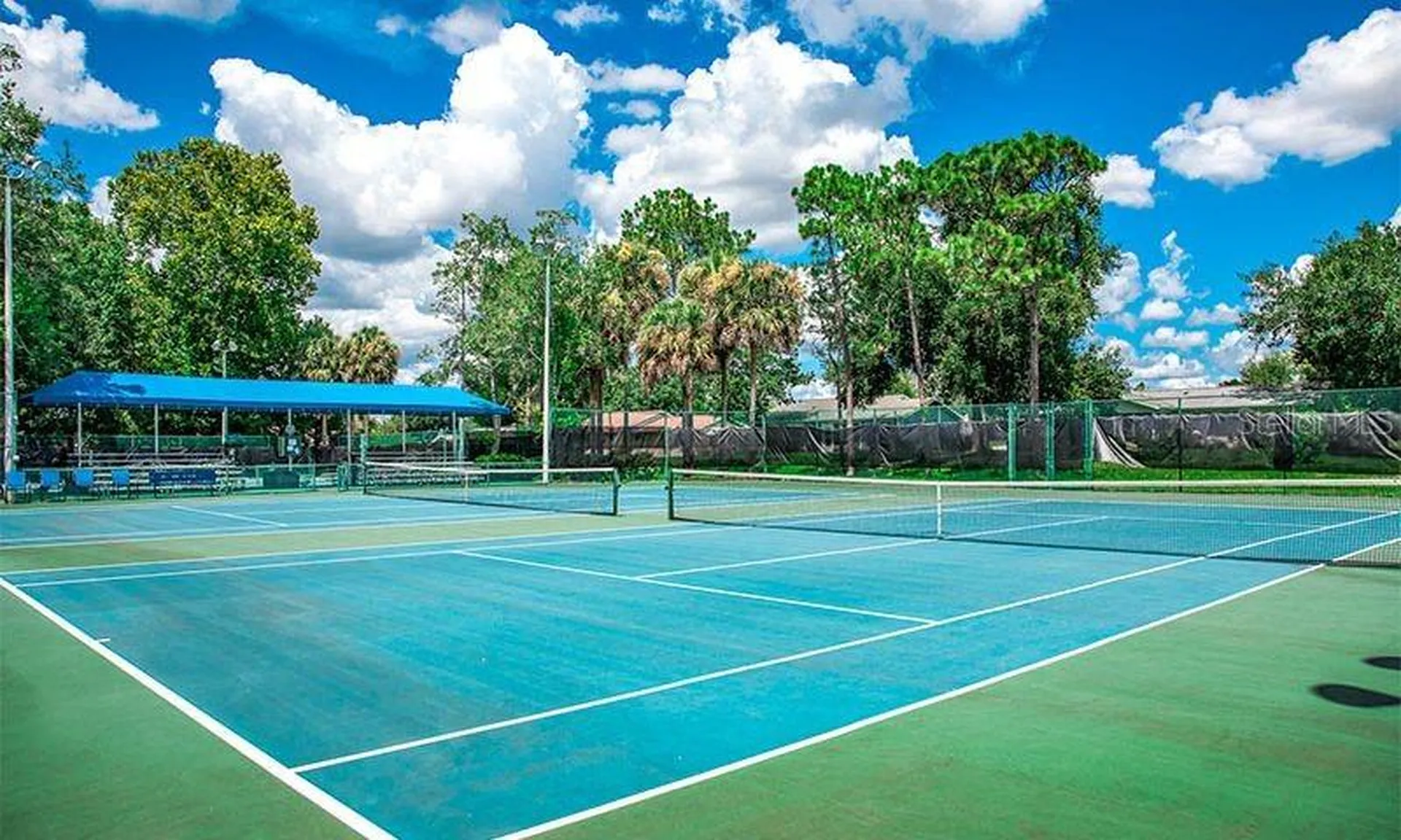 8038 SW 108th Loop Ocala FL 34481