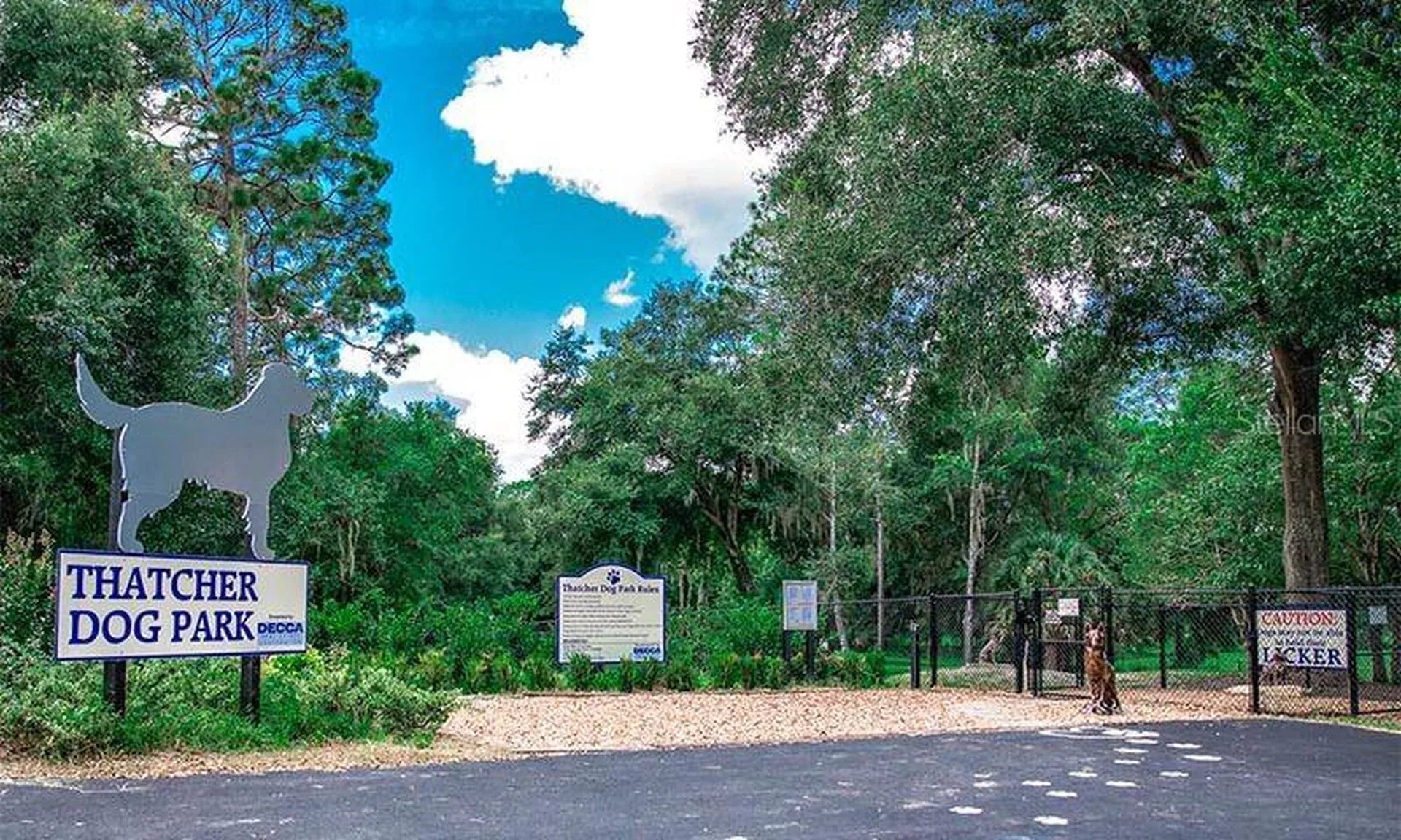 8038 SW 108th Loop Ocala FL 34481