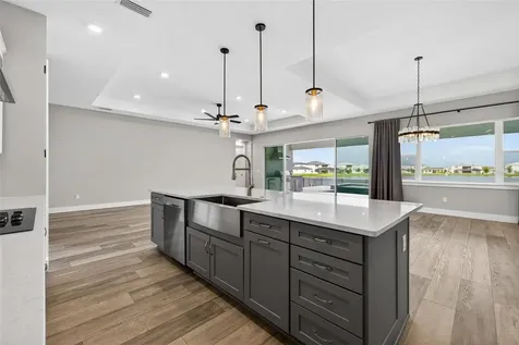 8346 Ivy Stark Boulevard Wesley Chapel FL 33545