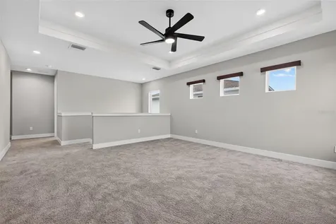 8346 Ivy Stark Boulevard Wesley Chapel FL 33545