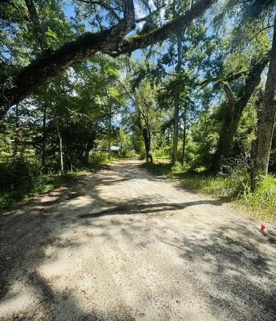 11898 SW 36th Way Webster FL 33597