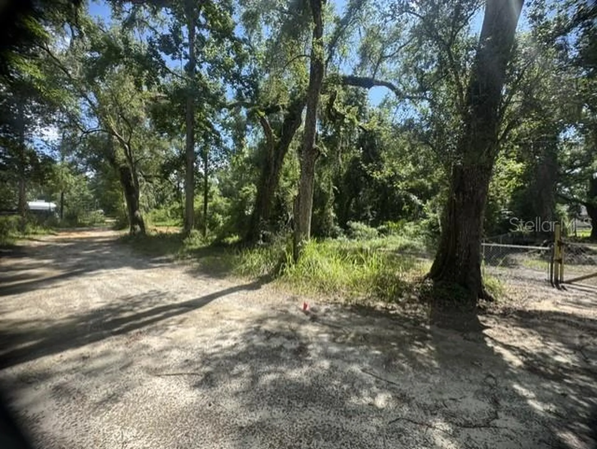11898 SW 36th Way Webster FL 33597