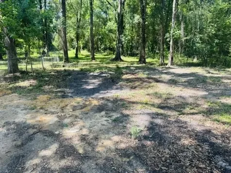 11898 SW 36th Way Webster FL 33597