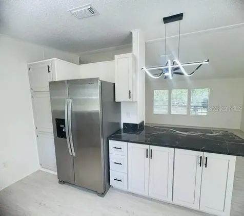 11898 SW 36th Way Webster FL 33597