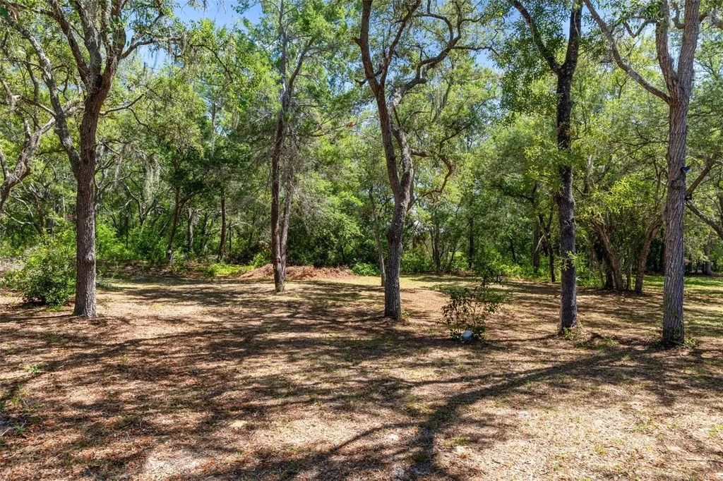 1761 E Cleveland Street Hernando FL 34442
