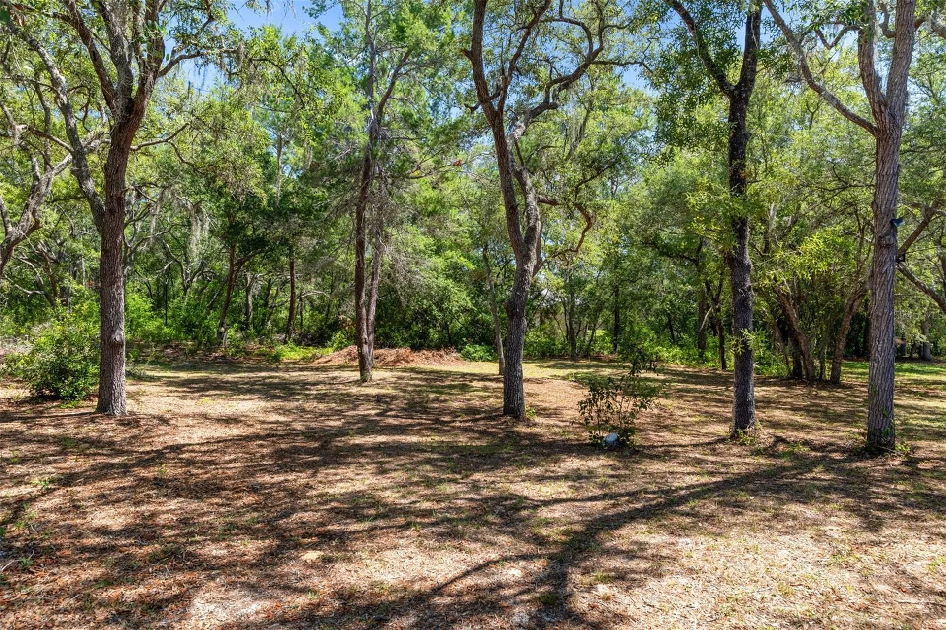 1761 E Cleveland Street Hernando FL 34442