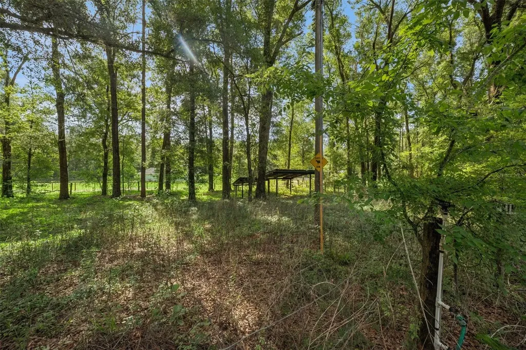 16230 NW 53rd Street Morriston FL 32668
