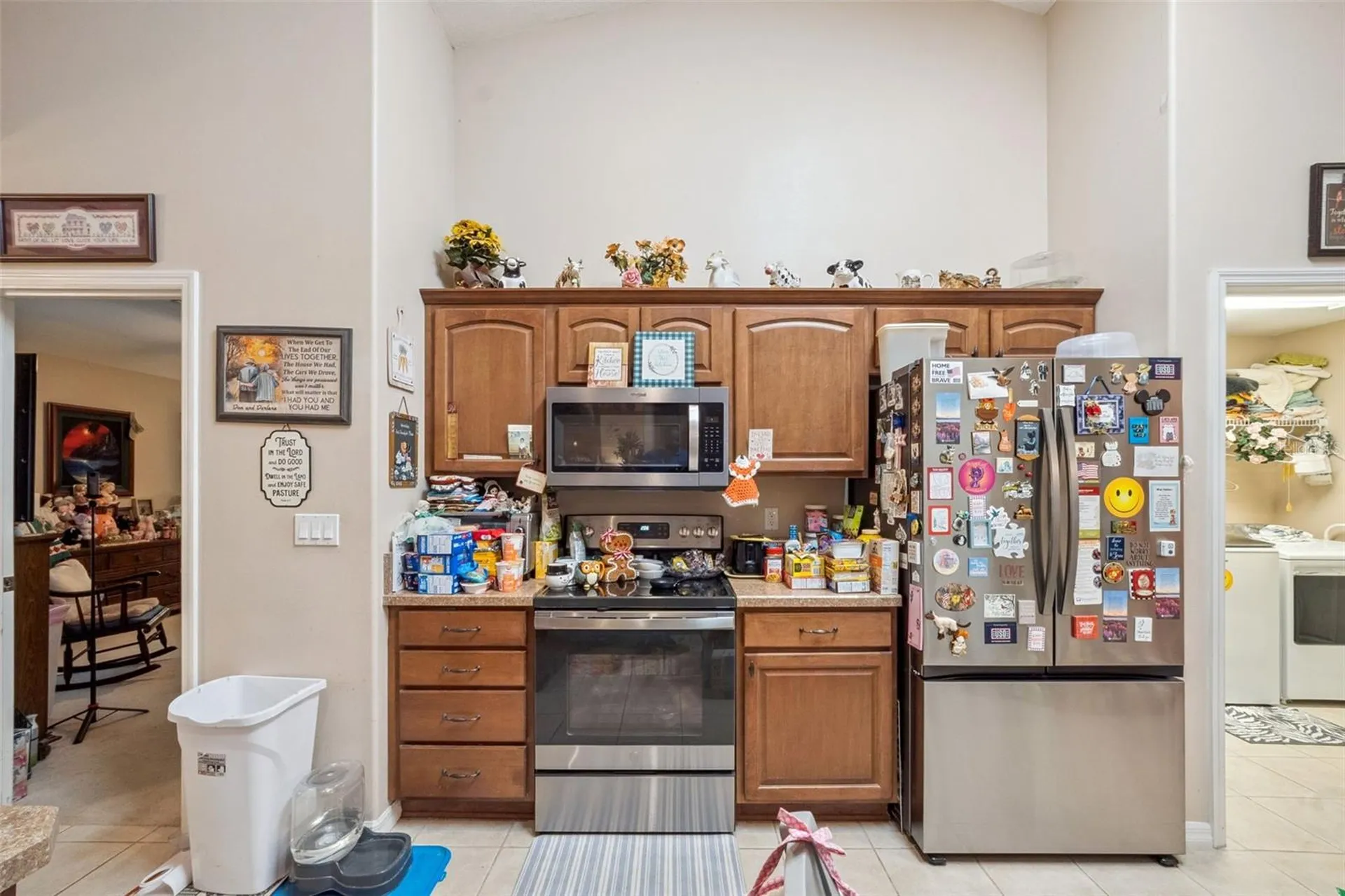 16230 NW 53rd Street Morriston FL 32668