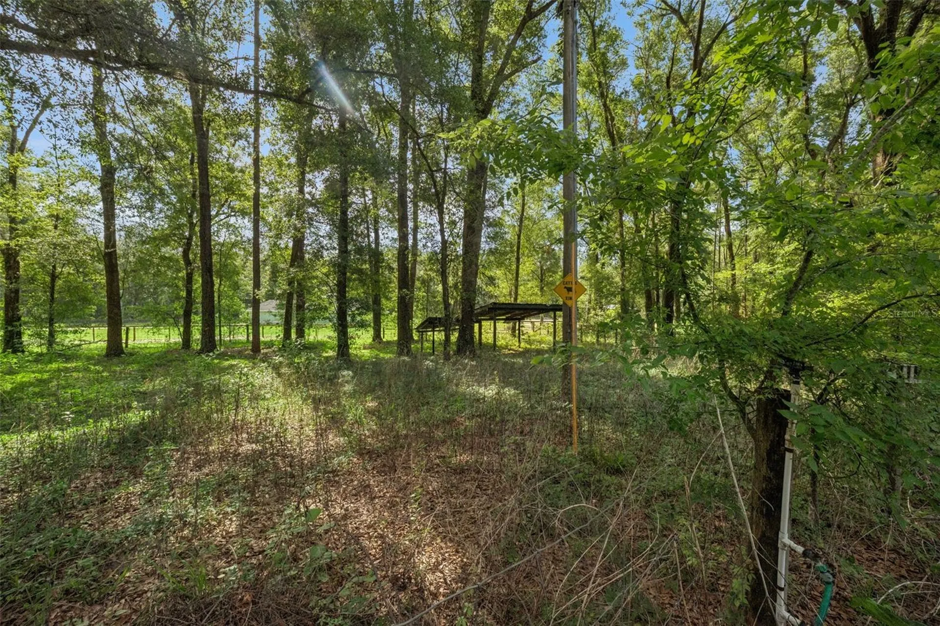 16230 NW 53rd Street Morriston FL 32668