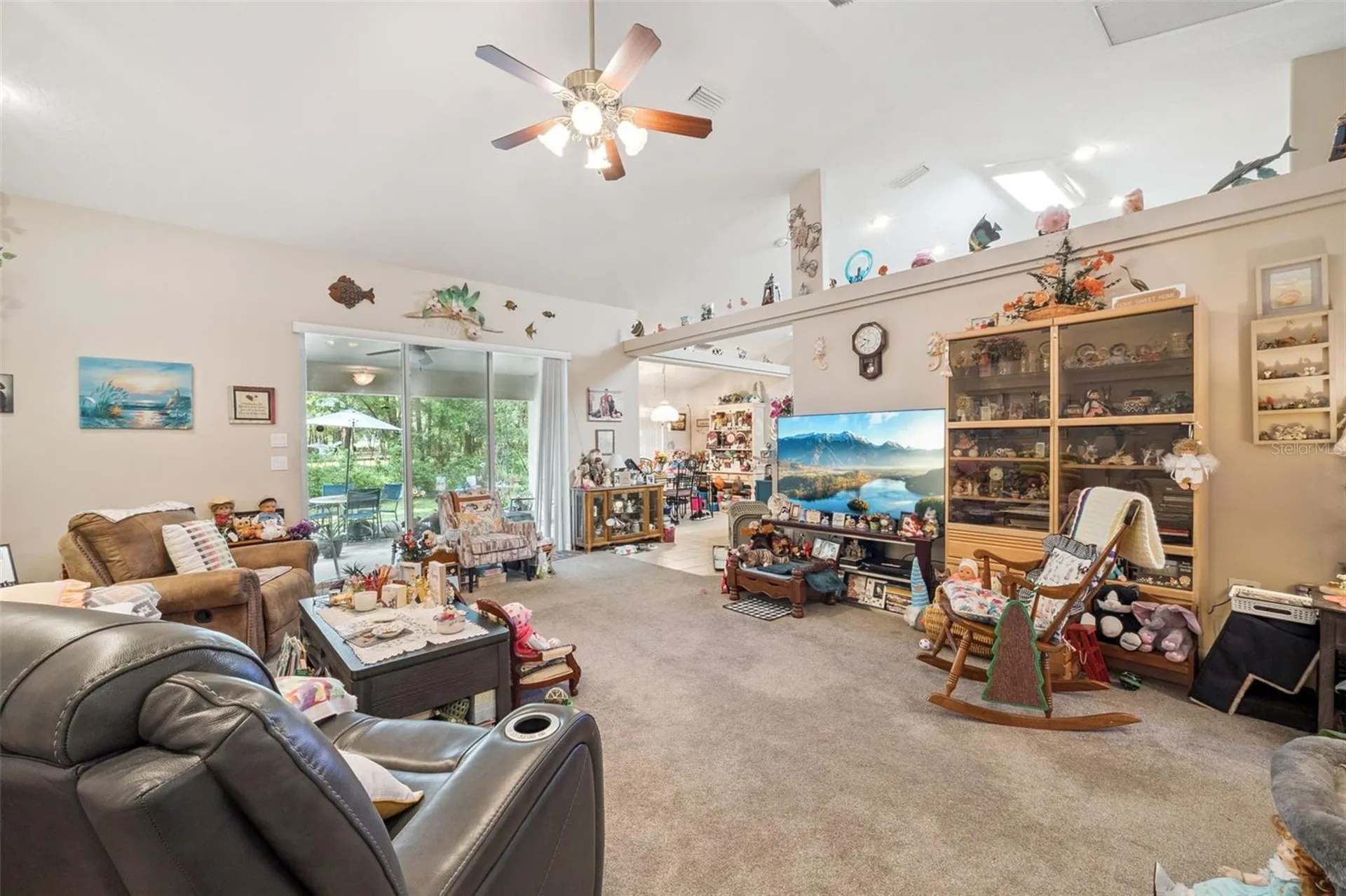 16230 NW 53rd Street Morriston FL 32668