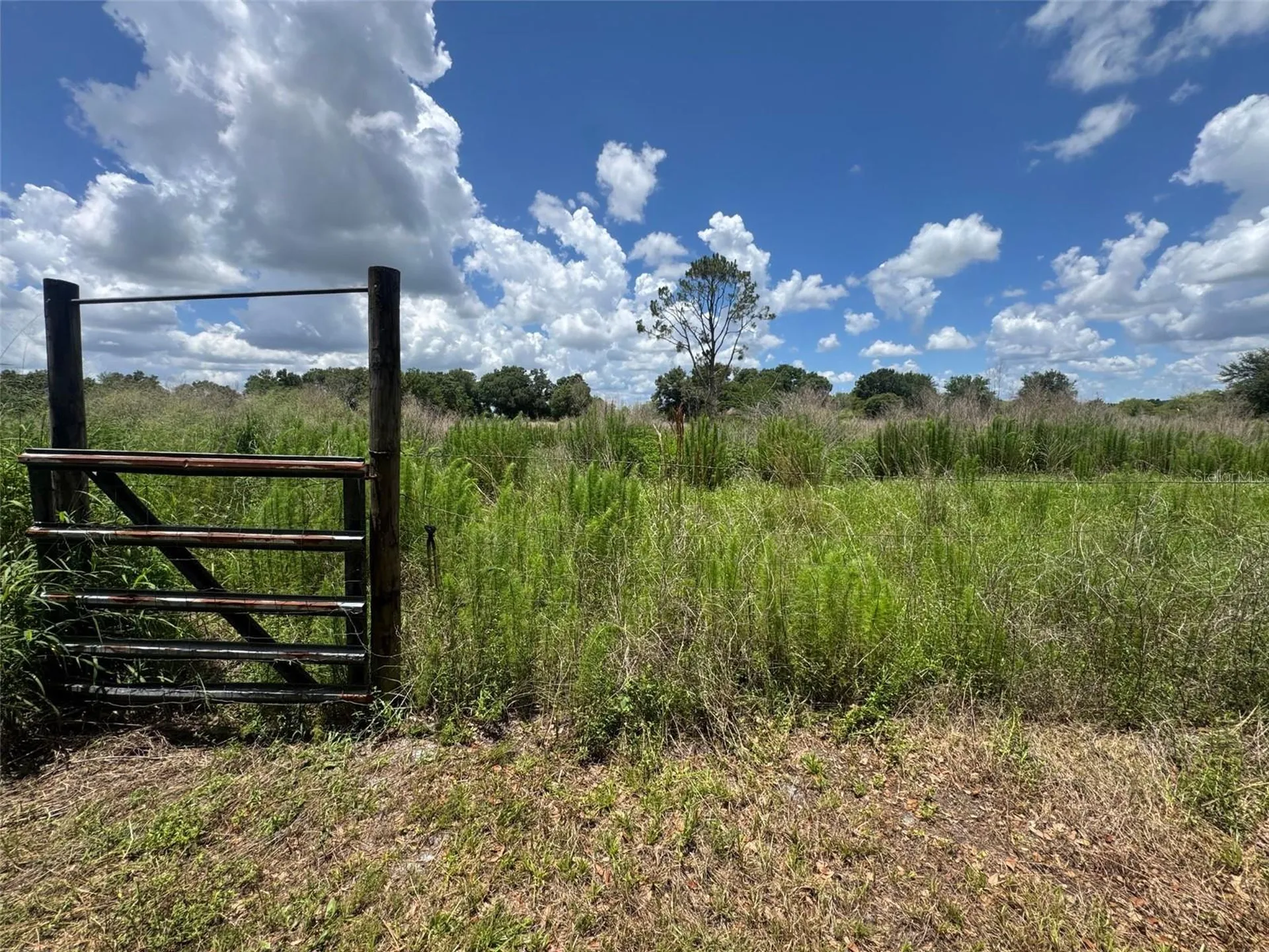 9827 SE Hoth Road Arcadia FL 34266