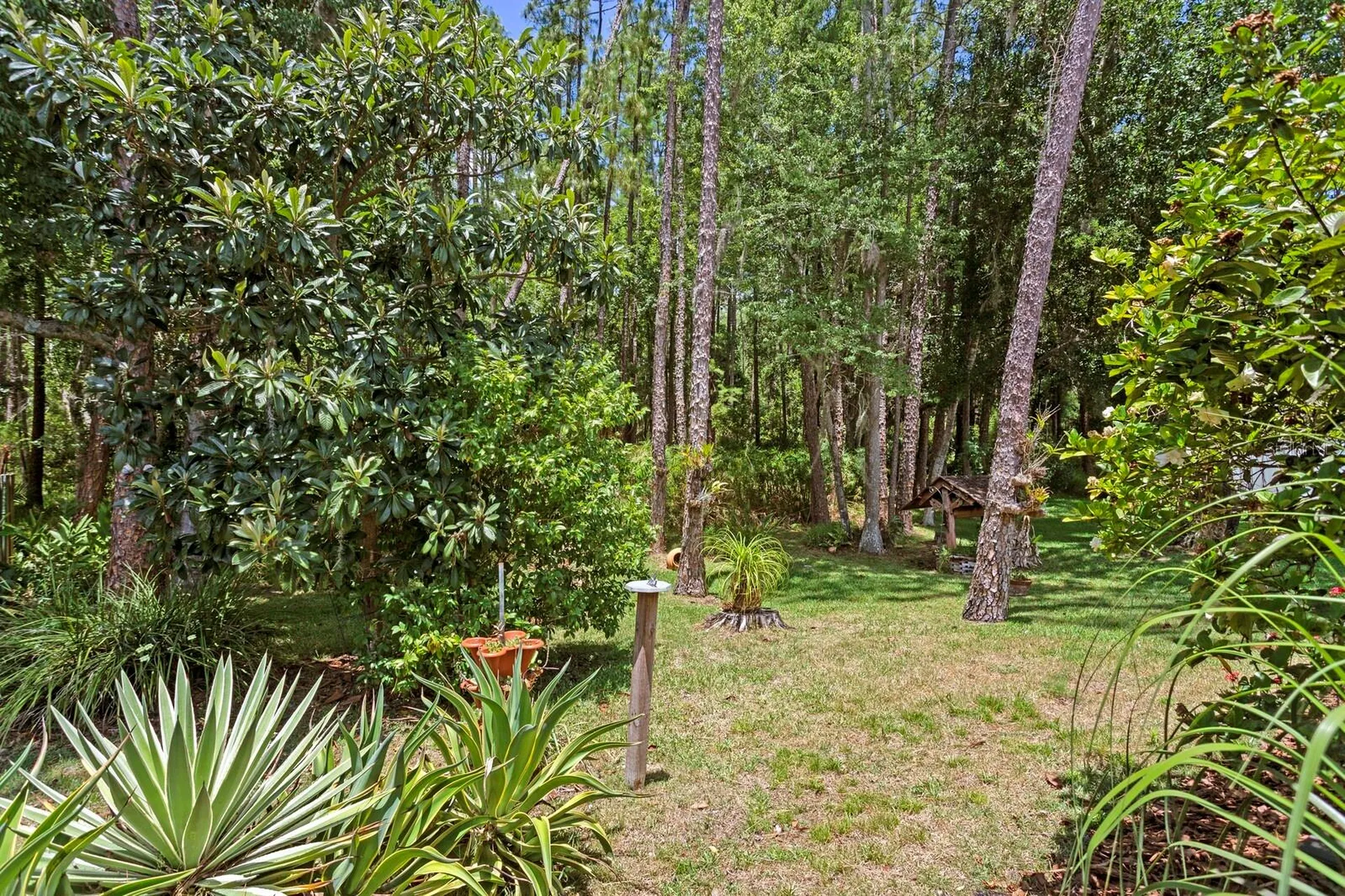 16037 Shinnecock Drive Odessa FL 33556