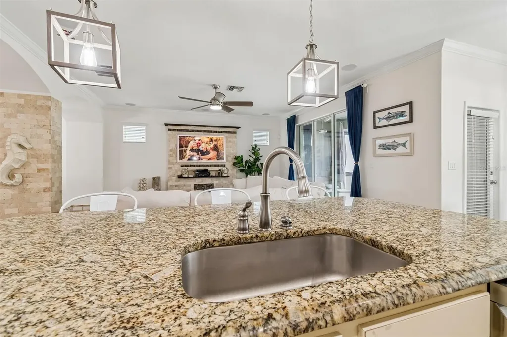 16214 Bayberry View Drive Lithia FL 33547
