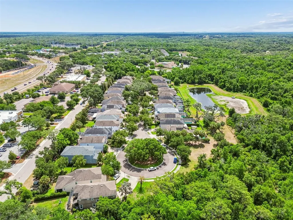 16214 Bayberry View Drive Lithia FL 33547