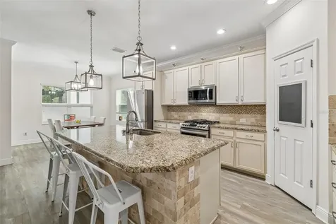 16214 Bayberry View Drive Lithia FL 33547