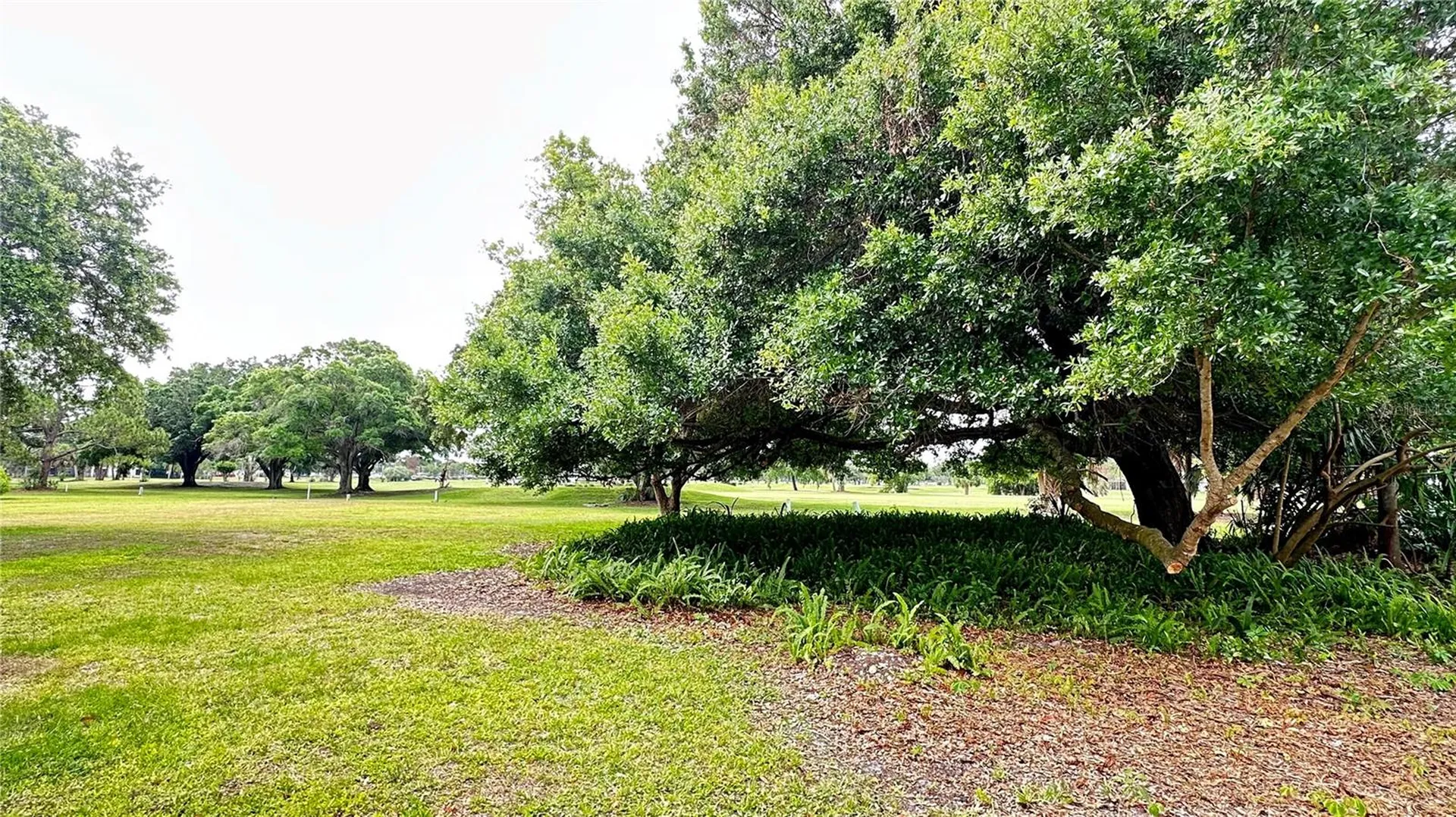 1225 Saint Andrews Drive Rockledge FL 32955