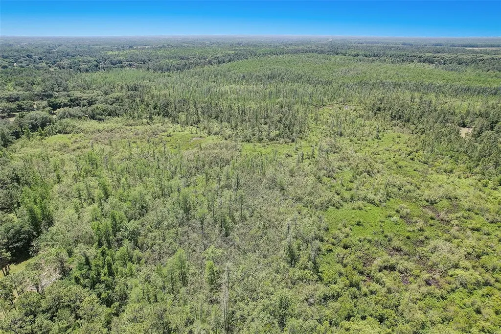 7119 State Road 33 Clermont FL 34714
