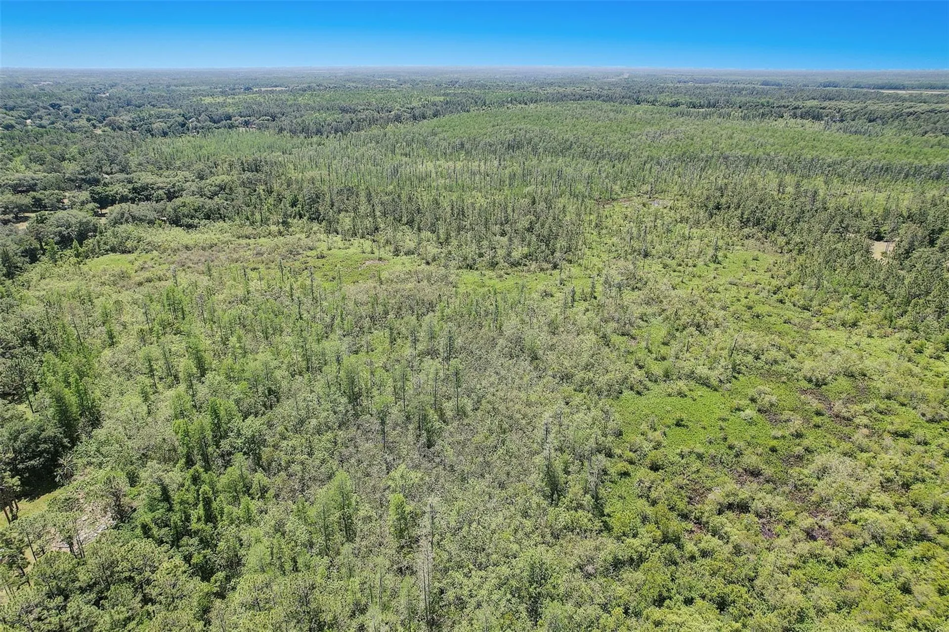 7119 State Road 33 Clermont FL 34714