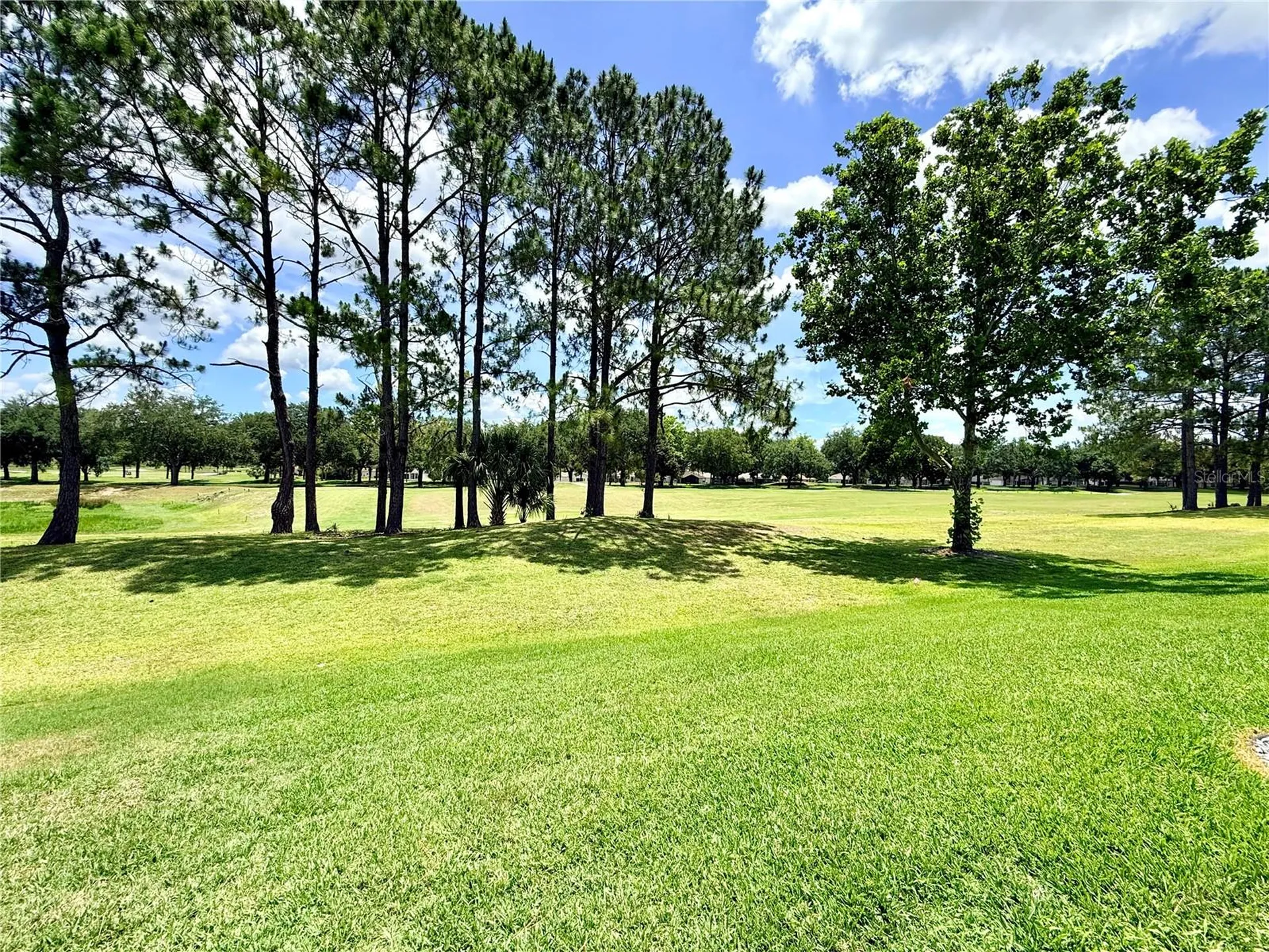 15597 SW 14th Avenue Road Ocala FL 34473