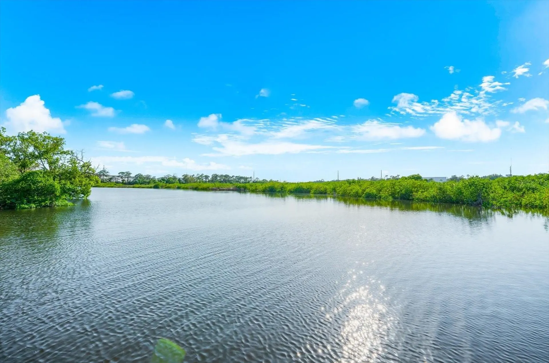 1462 N Jasmine Avenue Tarpon Springs FL 34689