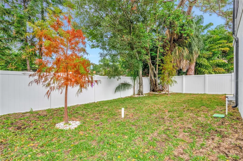 1105 Conant Avenue Safety Harbor FL 34695