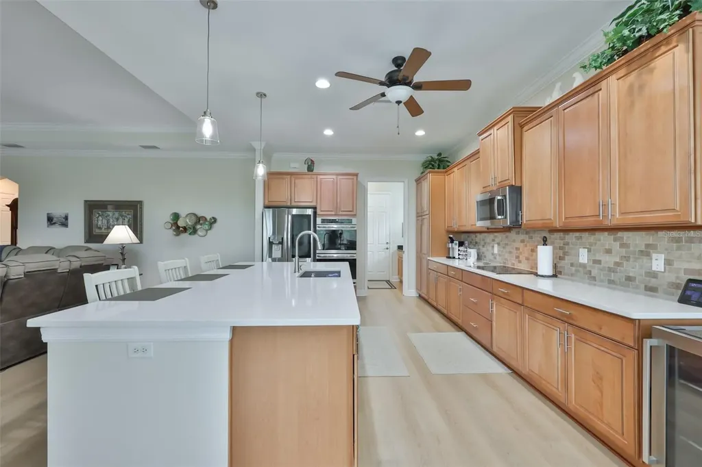1719 Pacific Dunes Drive Sun City Center FL 33573