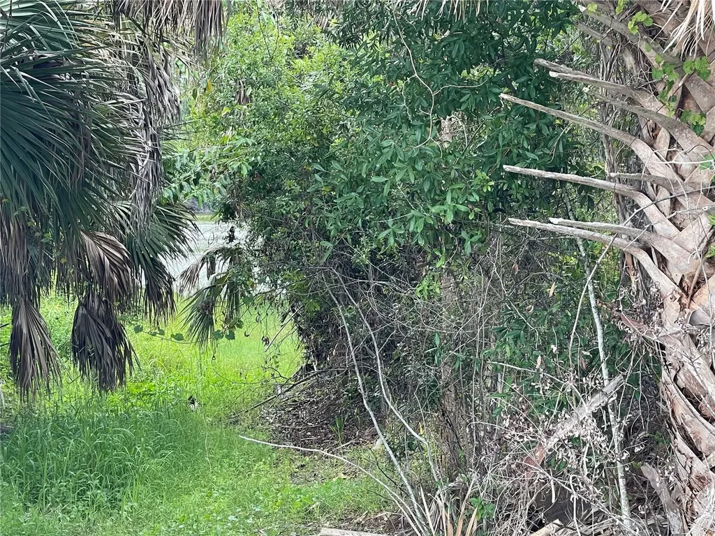 12152 Borax Avenue Punta Gorda FL 33955