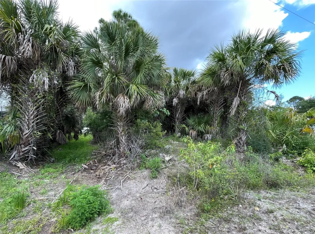 12152 Borax Avenue Punta Gorda FL 33955
