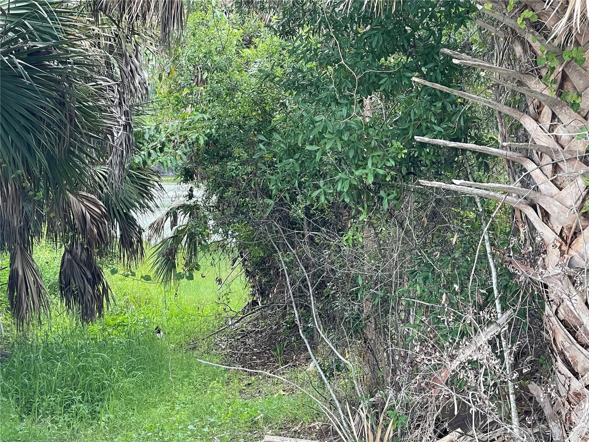 12152 Borax Avenue Punta Gorda FL 33955