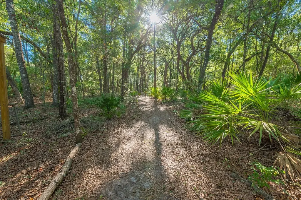 13291 NW 86th Avenue Chiefland FL 32626