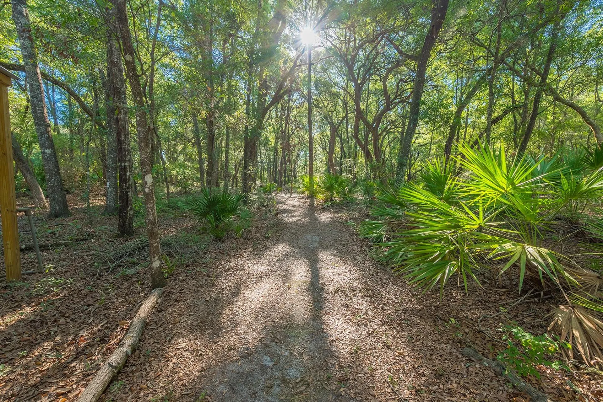 13291 NW 86th Avenue Chiefland FL 32626
