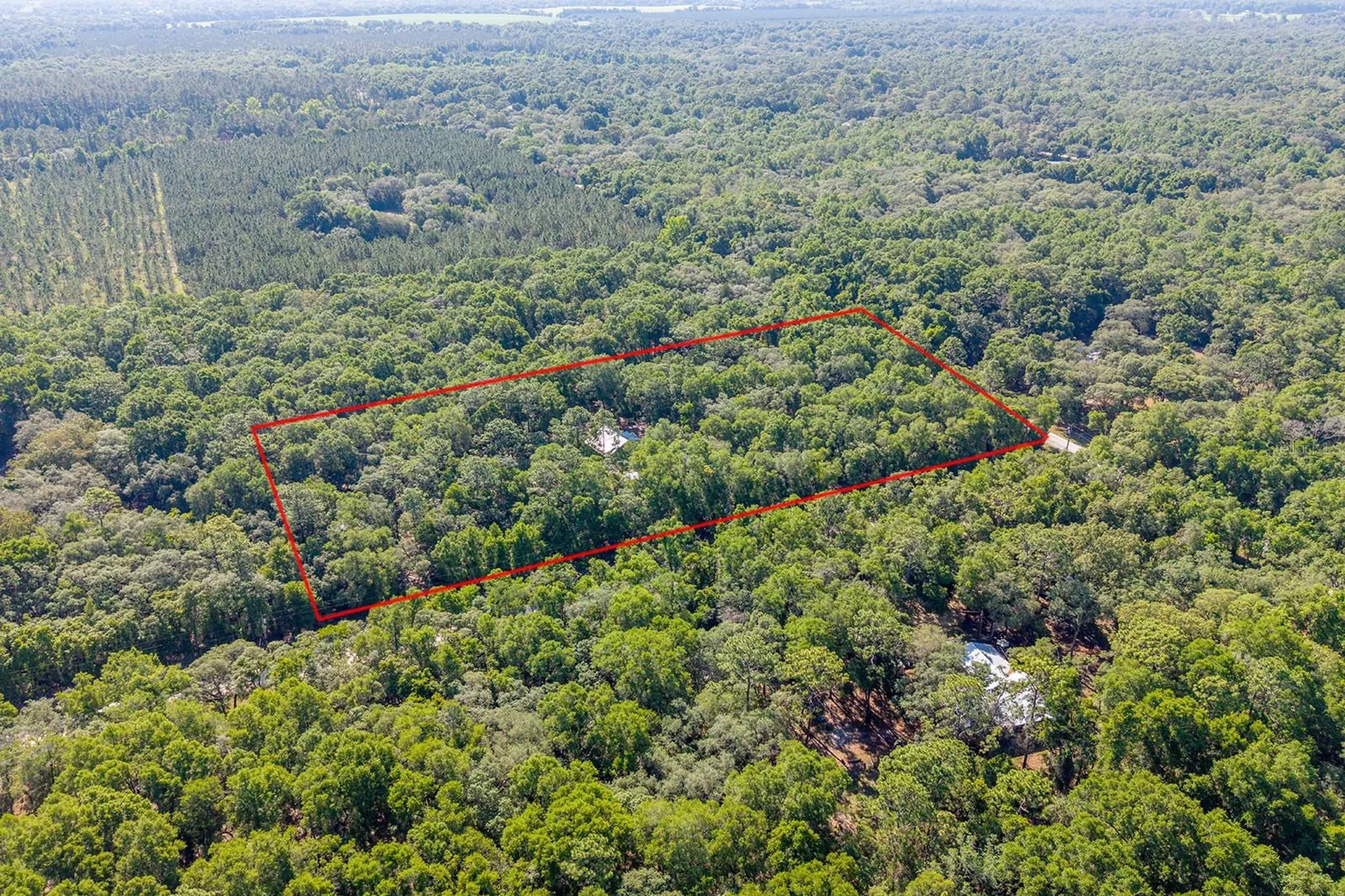 13291 NW 86th Avenue Chiefland FL 32626