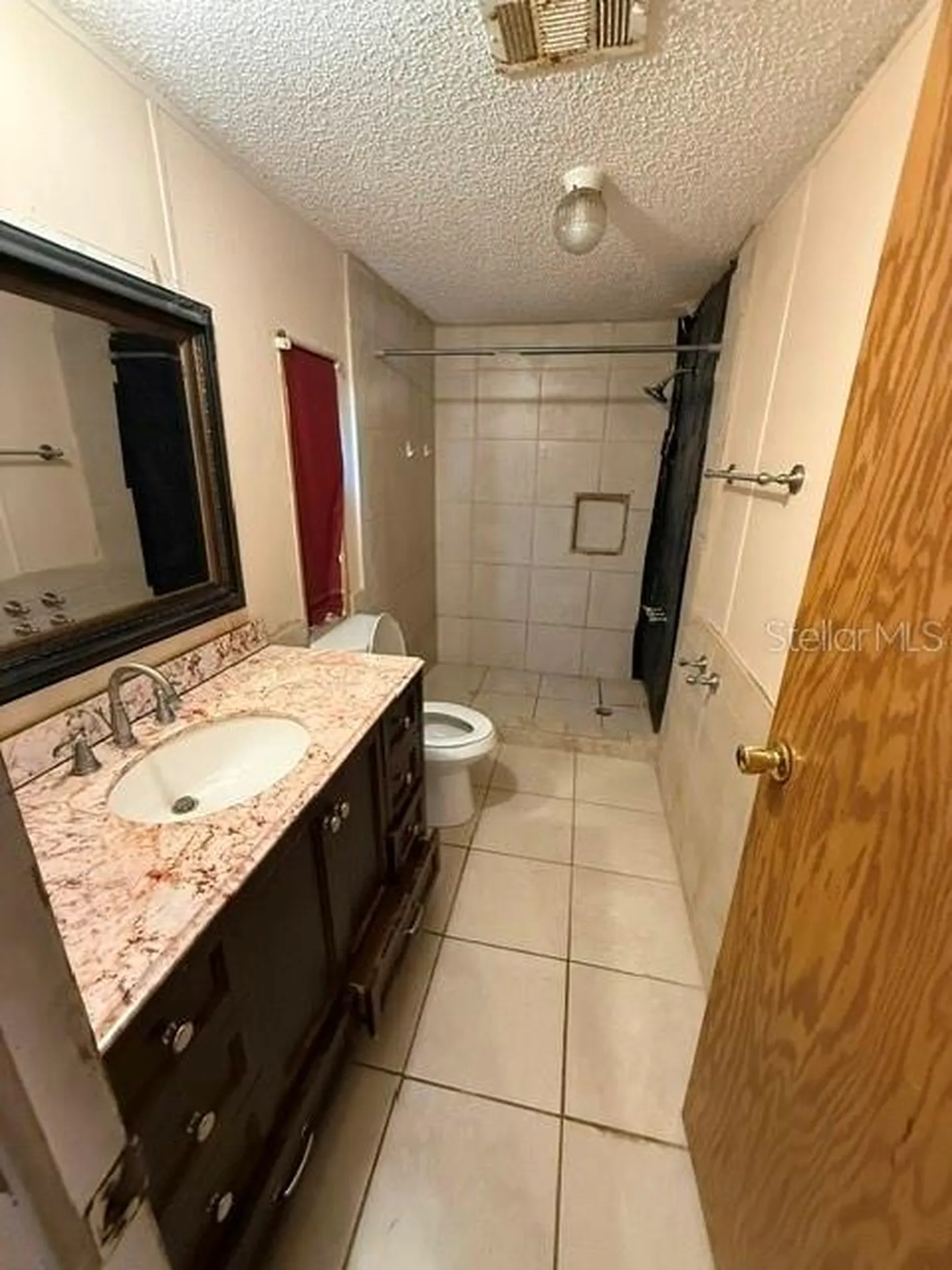 6420 Holloman Brook Court Plant City FL 33565
