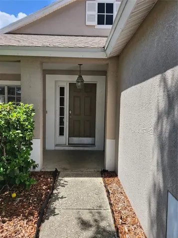 32119 Cypress Valley Drive Wesley Chapel FL 33545