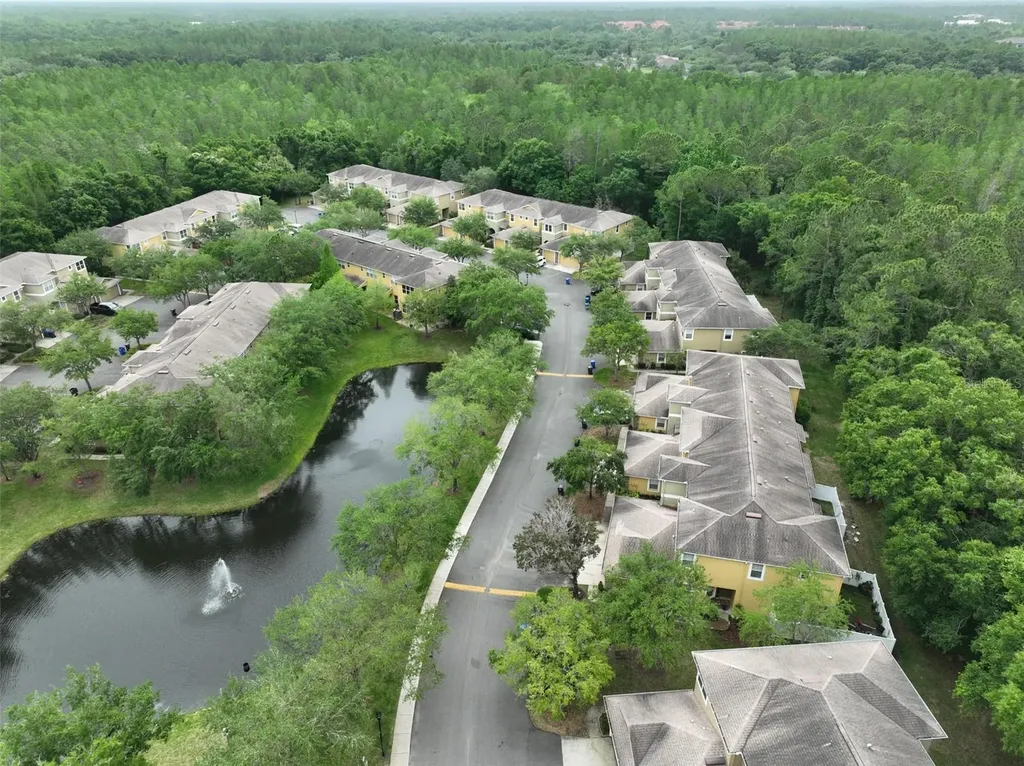 8155 Stone Leaf Lane Tampa FL 33647