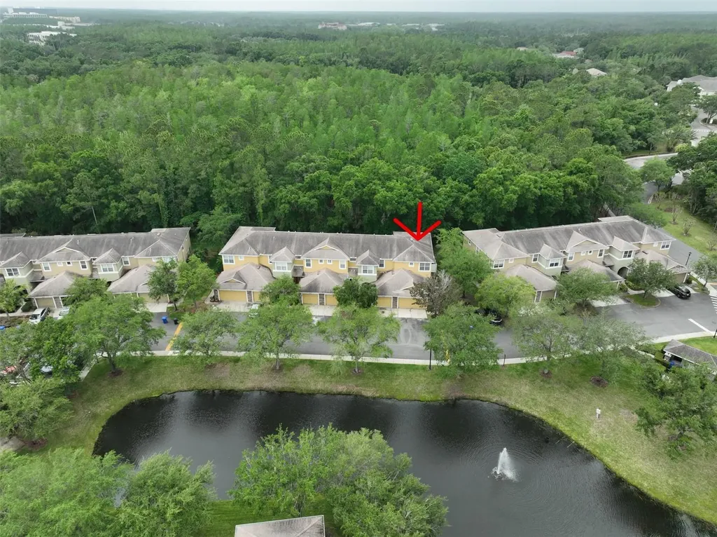 8155 Stone Leaf Lane Tampa FL 33647