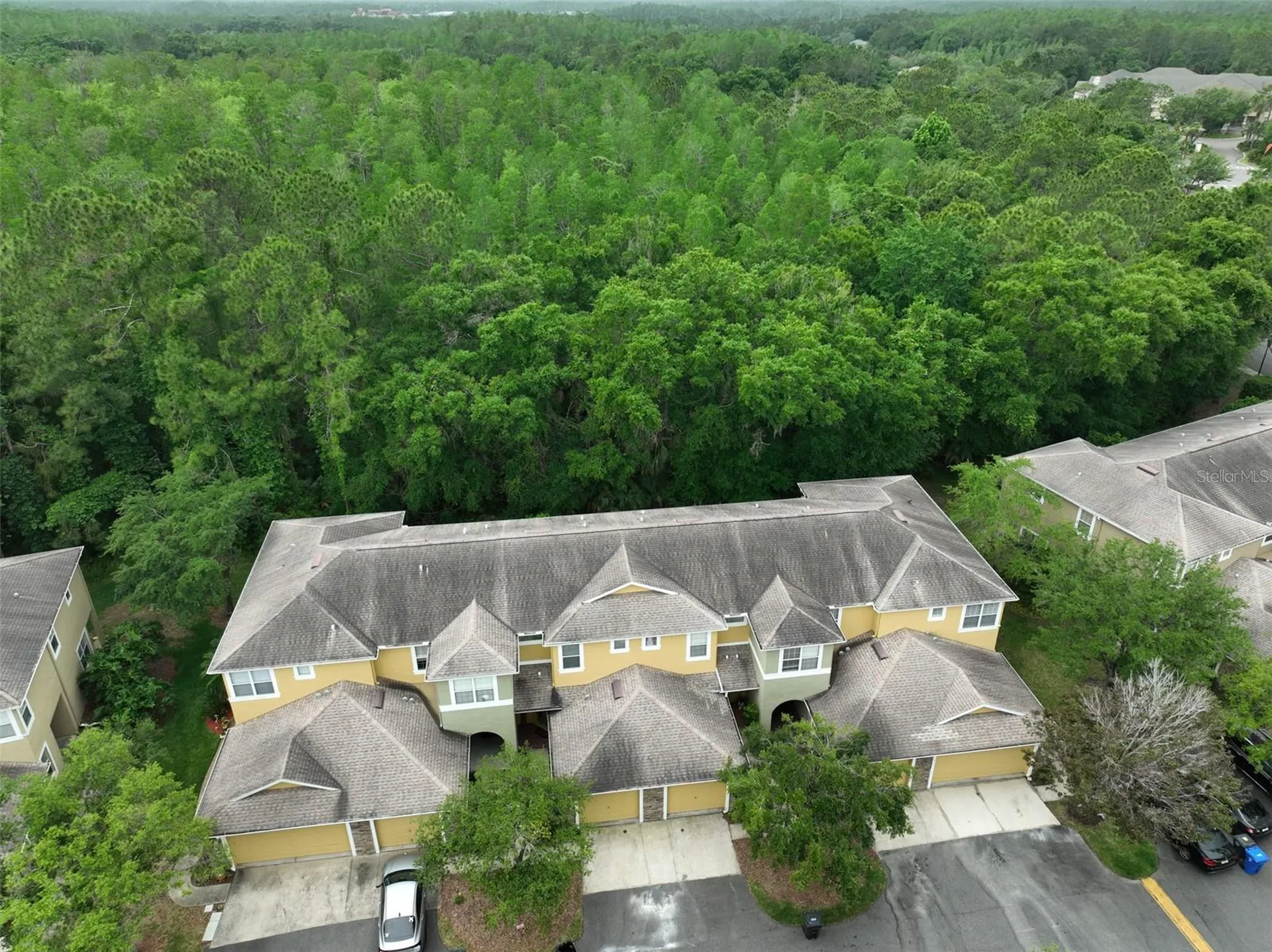 8155 Stone Leaf Lane Tampa FL 33647