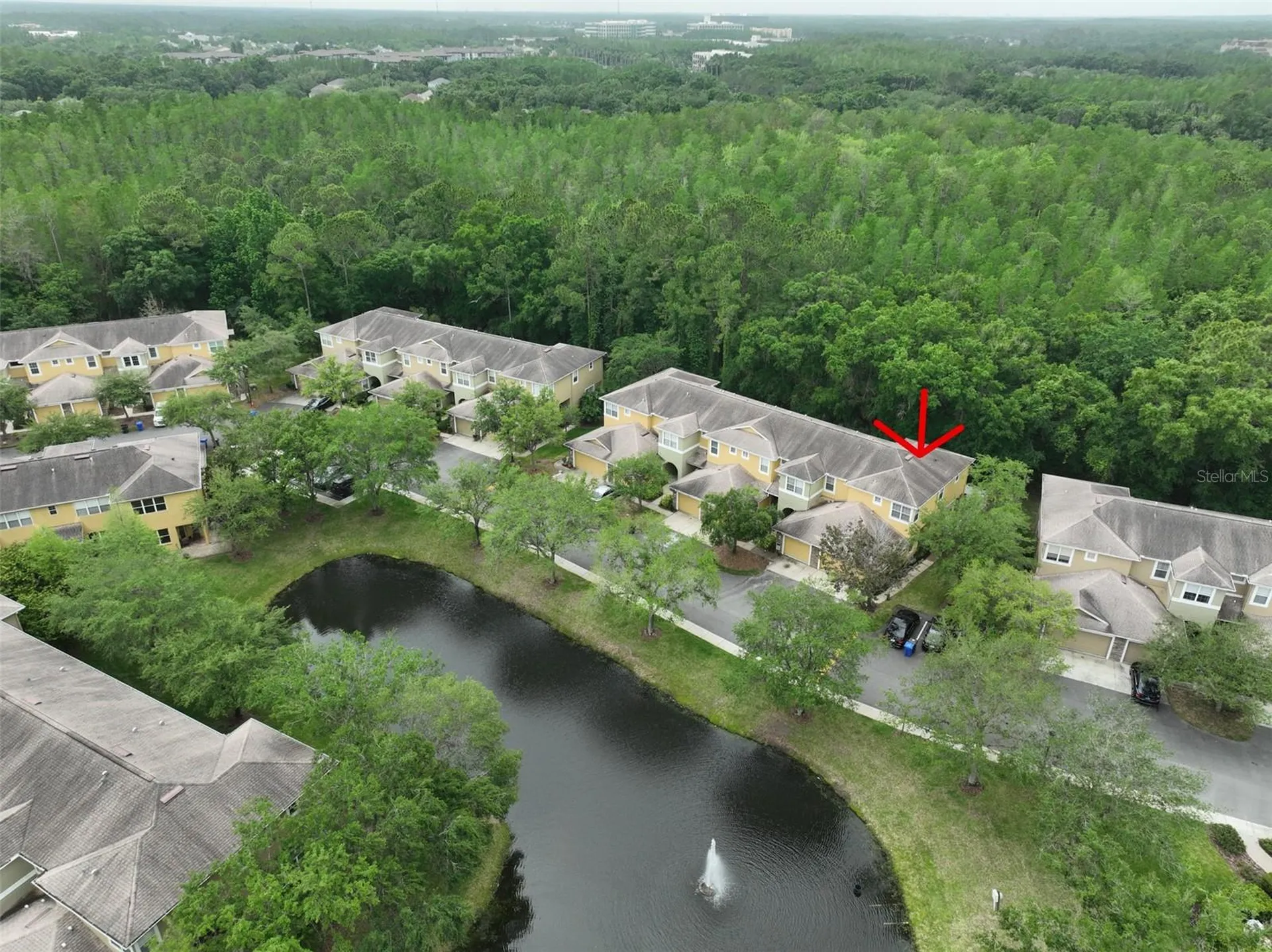 8155 Stone Leaf Lane Tampa FL 33647