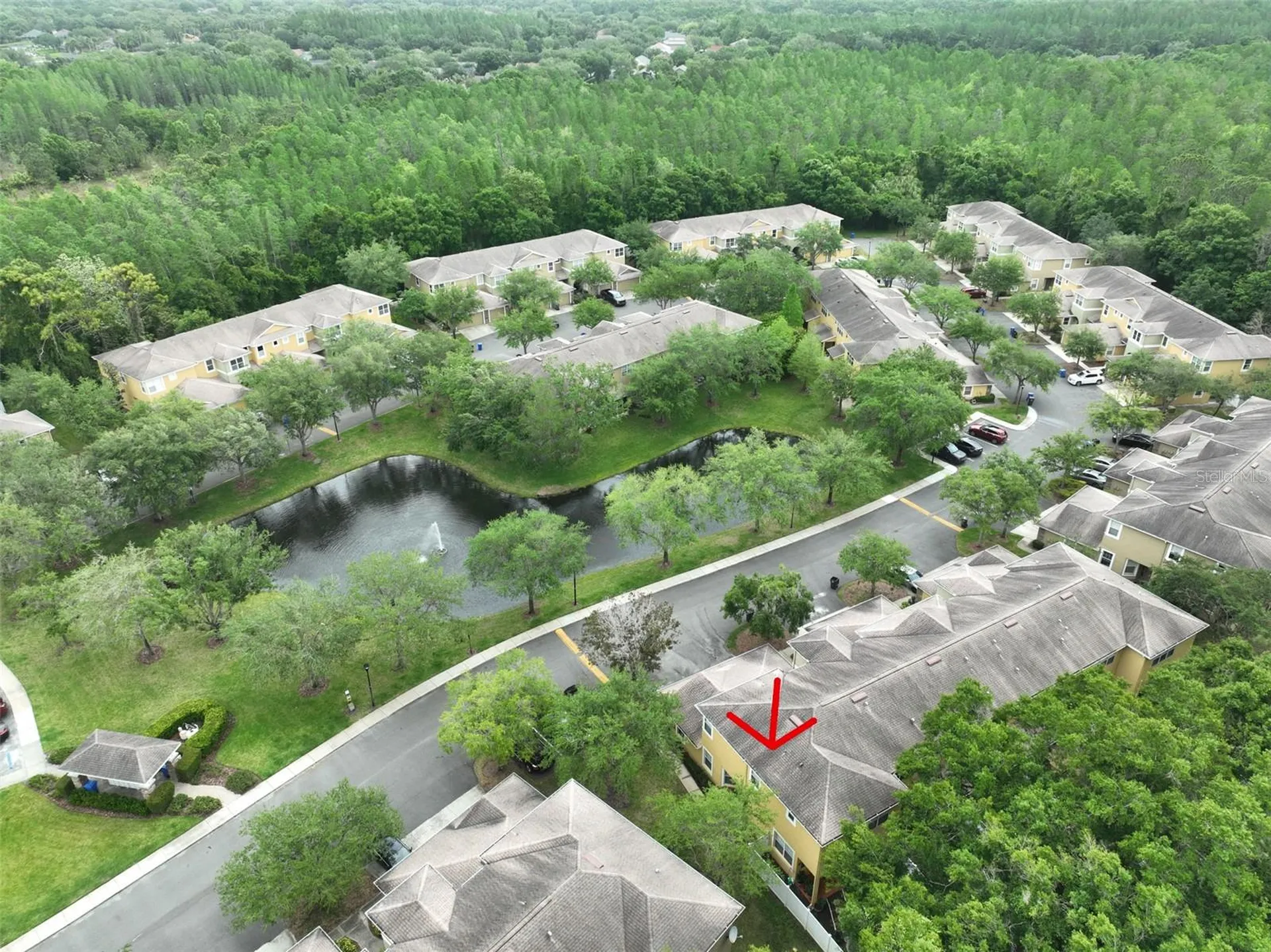 8155 Stone Leaf Lane Tampa FL 33647