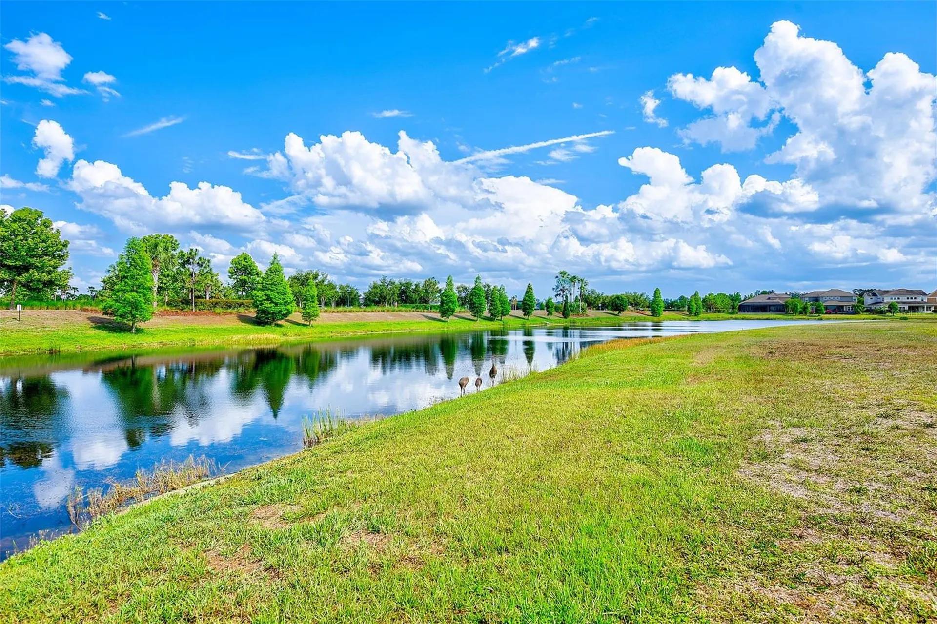 6951 Crestpoint Drive Apollo Beach FL 33572