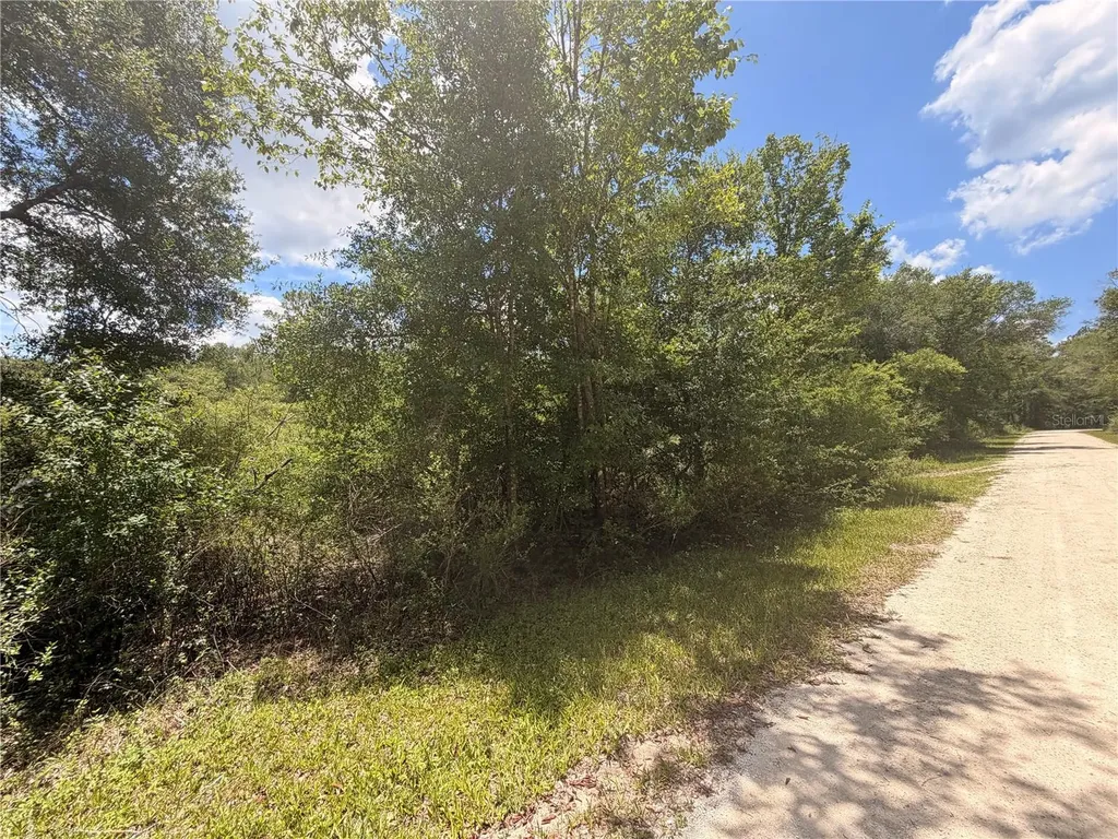 Lot 3 Chipstone Street Webster FL 33597