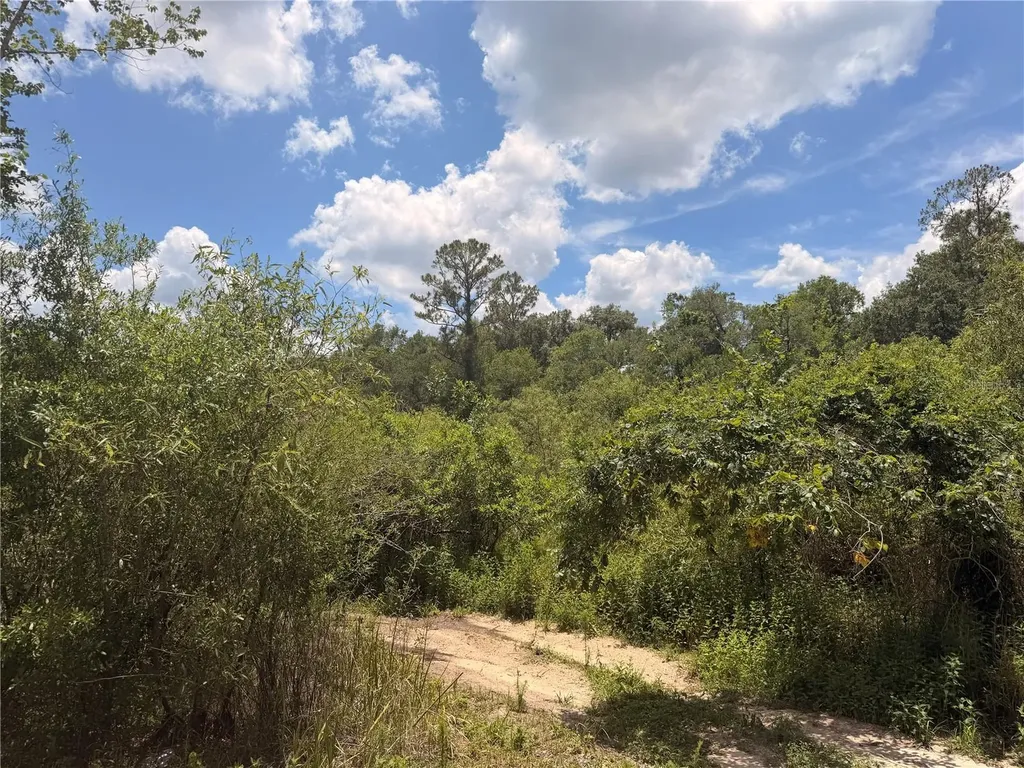 Lot 3 Chipstone Street Webster FL 33597