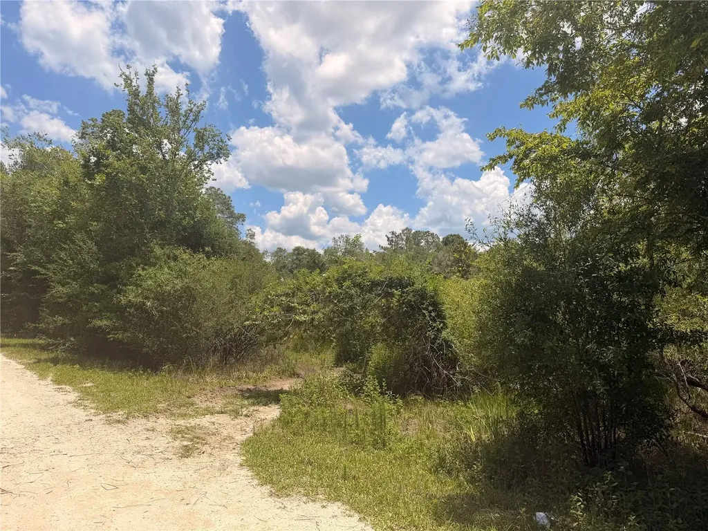 Lot 3 Chipstone Street Webster FL 33597