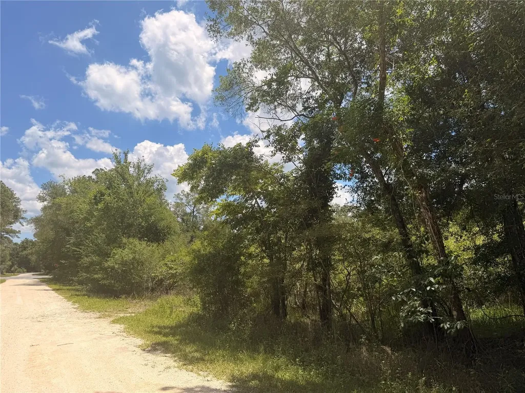 Lot 3 Chipstone Street Webster FL 33597