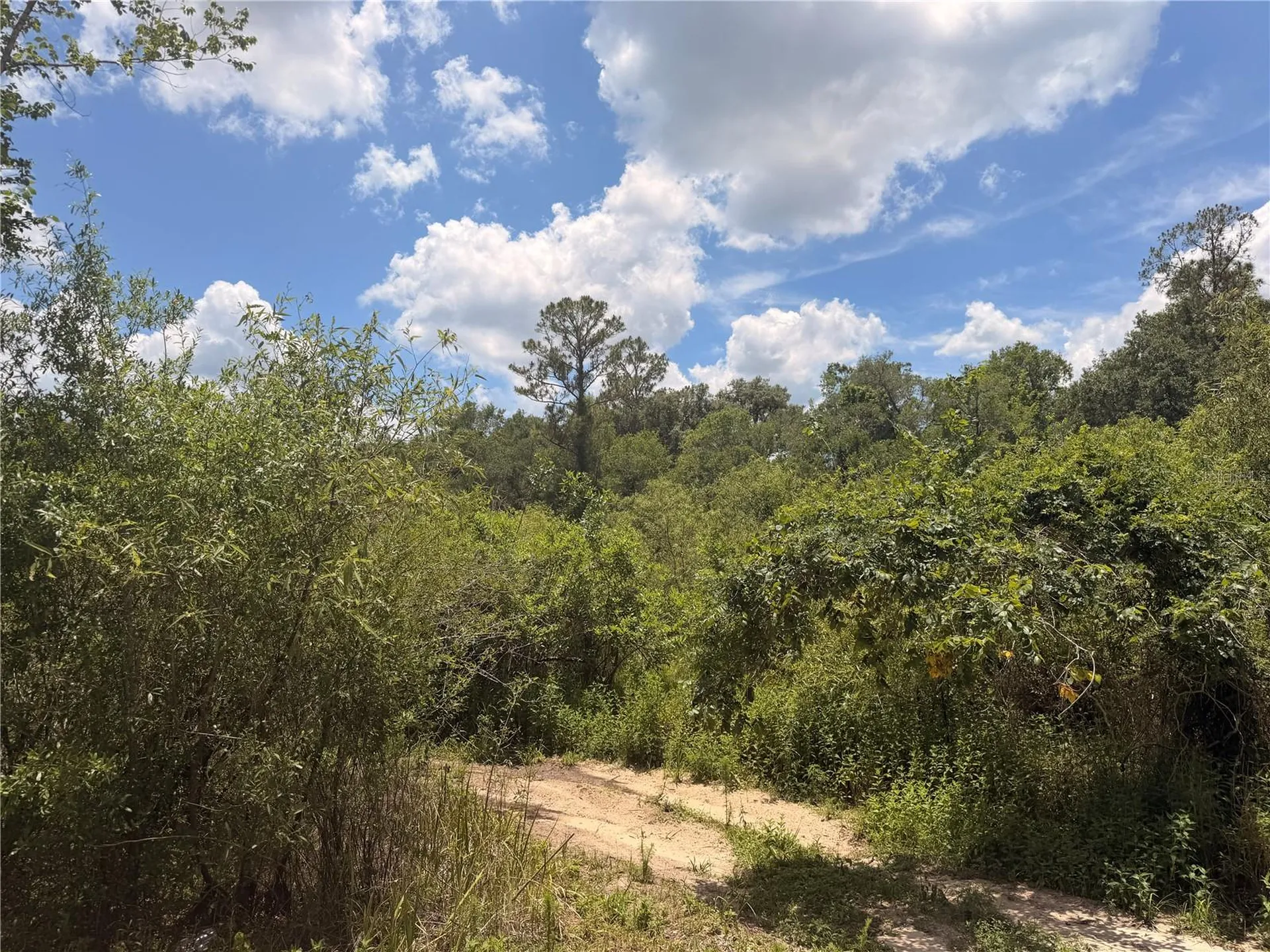 Lot 3 Chipstone Street Webster FL 33597
