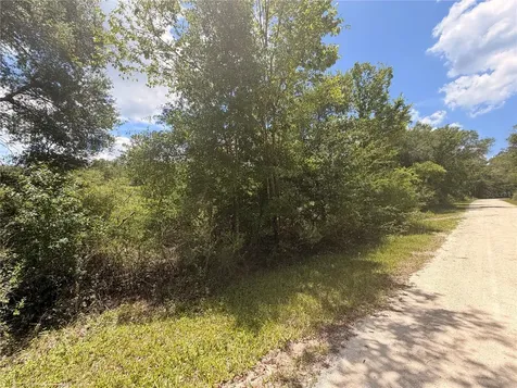 Lot 3 Chipstone Street Webster FL 33597